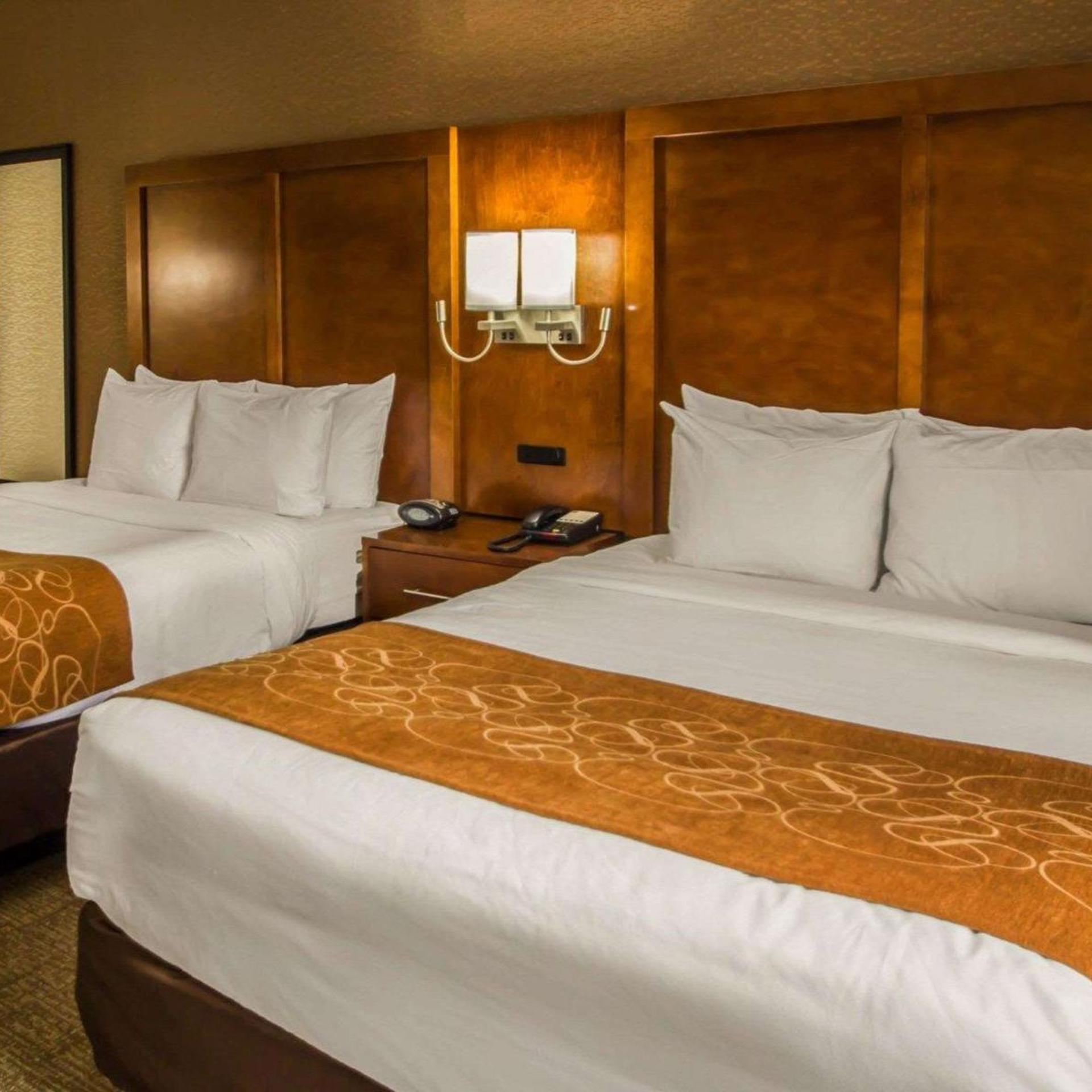 Efficiency, Suite, Queen Bed, Kitchenette