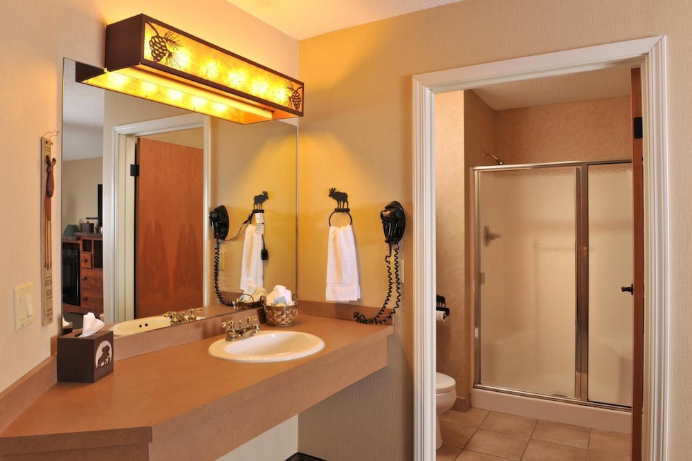 Stoney Creek Hotel Peoria 18/40