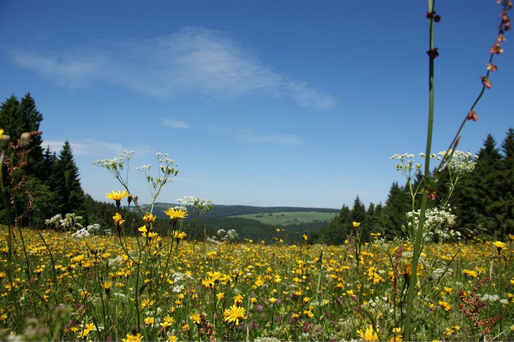 Werrapark Resort Hotel Frankenblick 55/64
