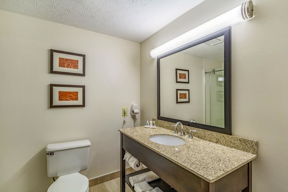 Comfort Inn Independence - Cleveland 21/30