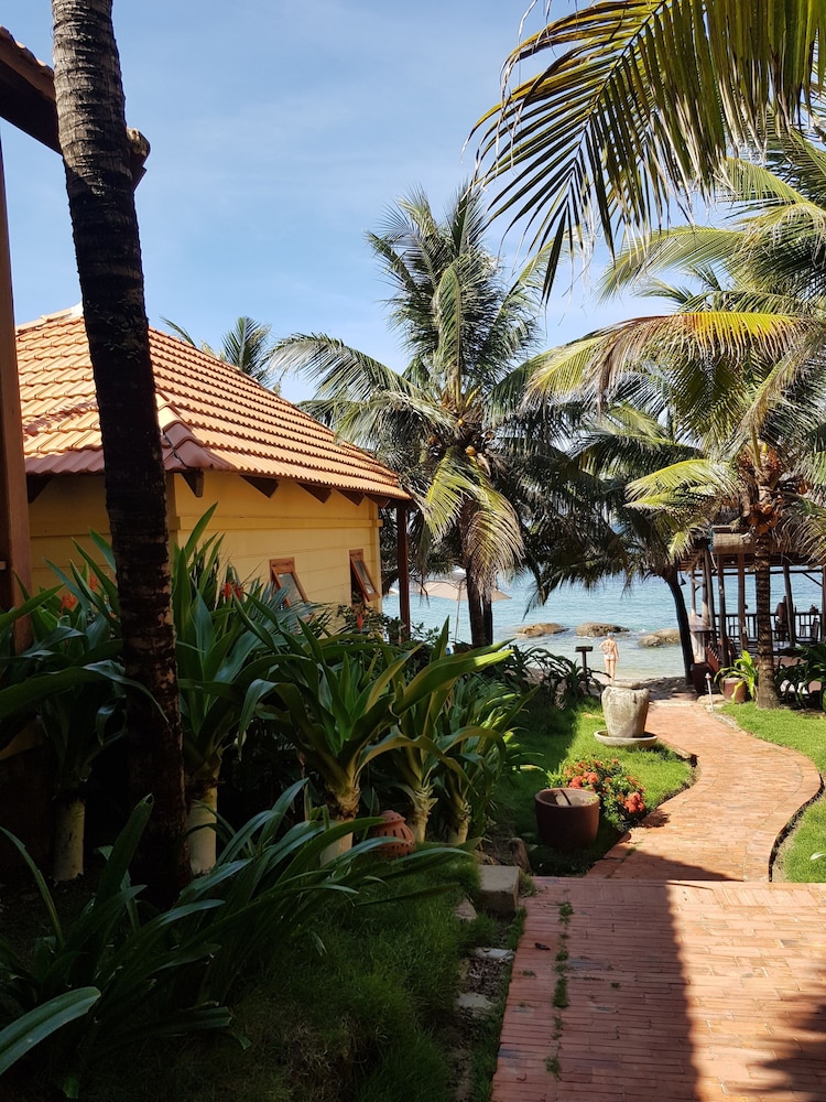 Free Beach Resort 35/50