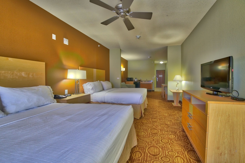 Holiday Inn Express & Suites Lubbock Southwest - Wolfforth 22/50