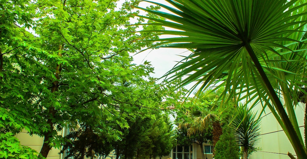 THE CRESCENT BEACH HOTEL 31/32