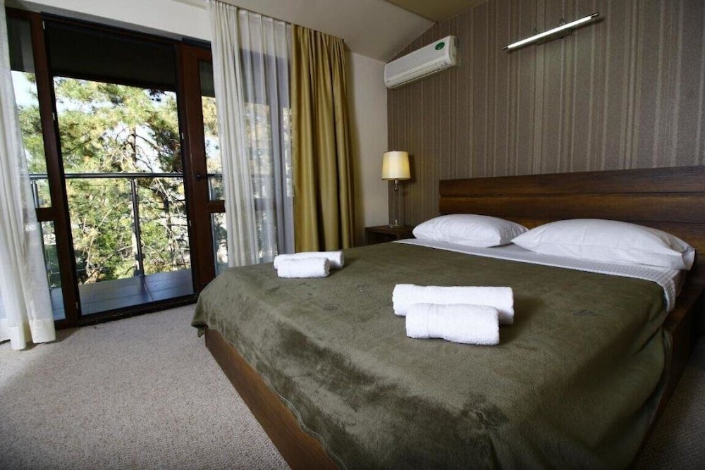 Sani Hotel 12/41