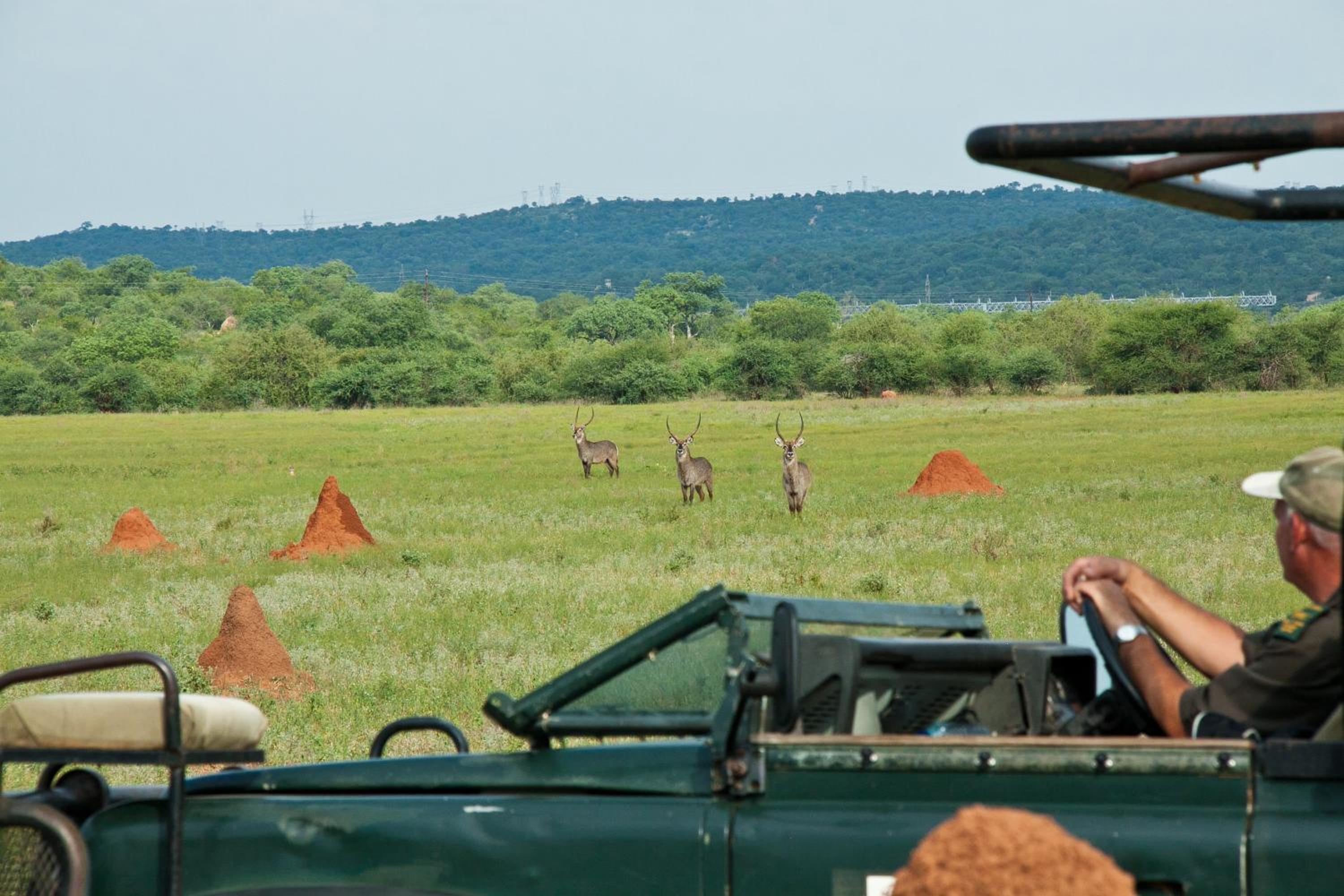 Casart Game Lodge 65/72