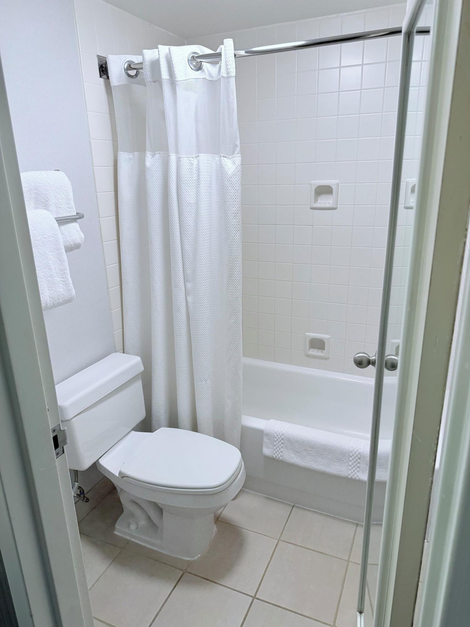 Suite, Multiple Beds, Accessible