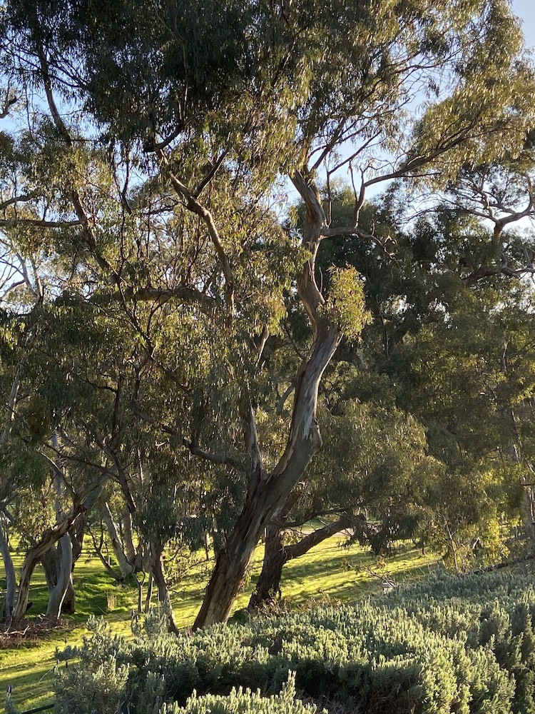 Battunga Bed & Breakfast 24/62