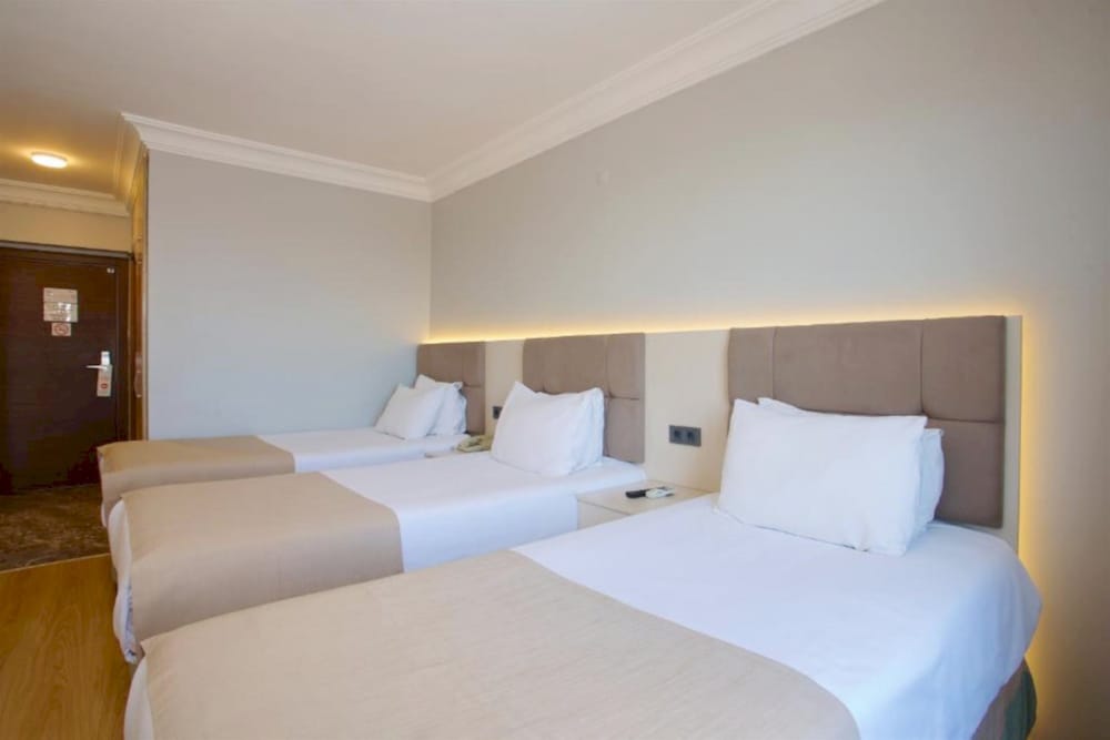 Grand Ant Hotel 22/47