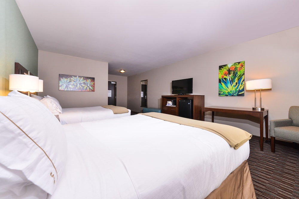 Holiday Inn Express Hotel & Suites Indio - Coachella Valley 28/78
