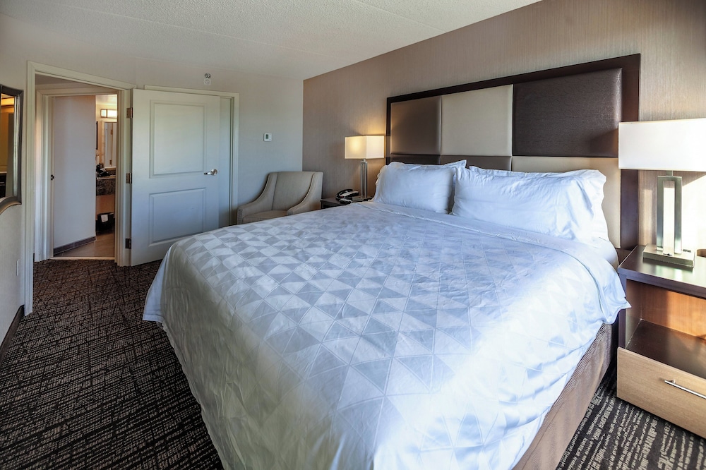 1 Bedroom, Suite, King Bed