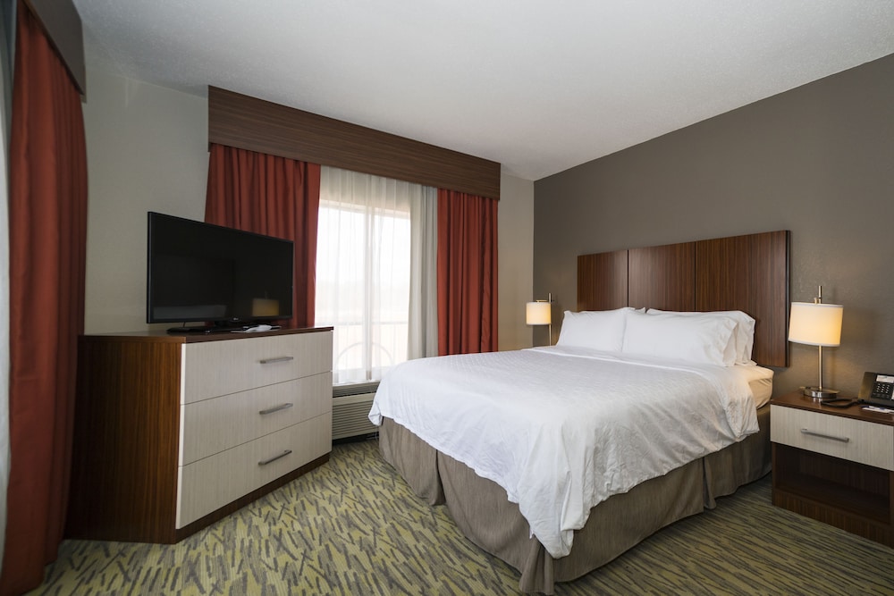 Holiday Inn Express Hotel & Suites Vicksburg 20/74