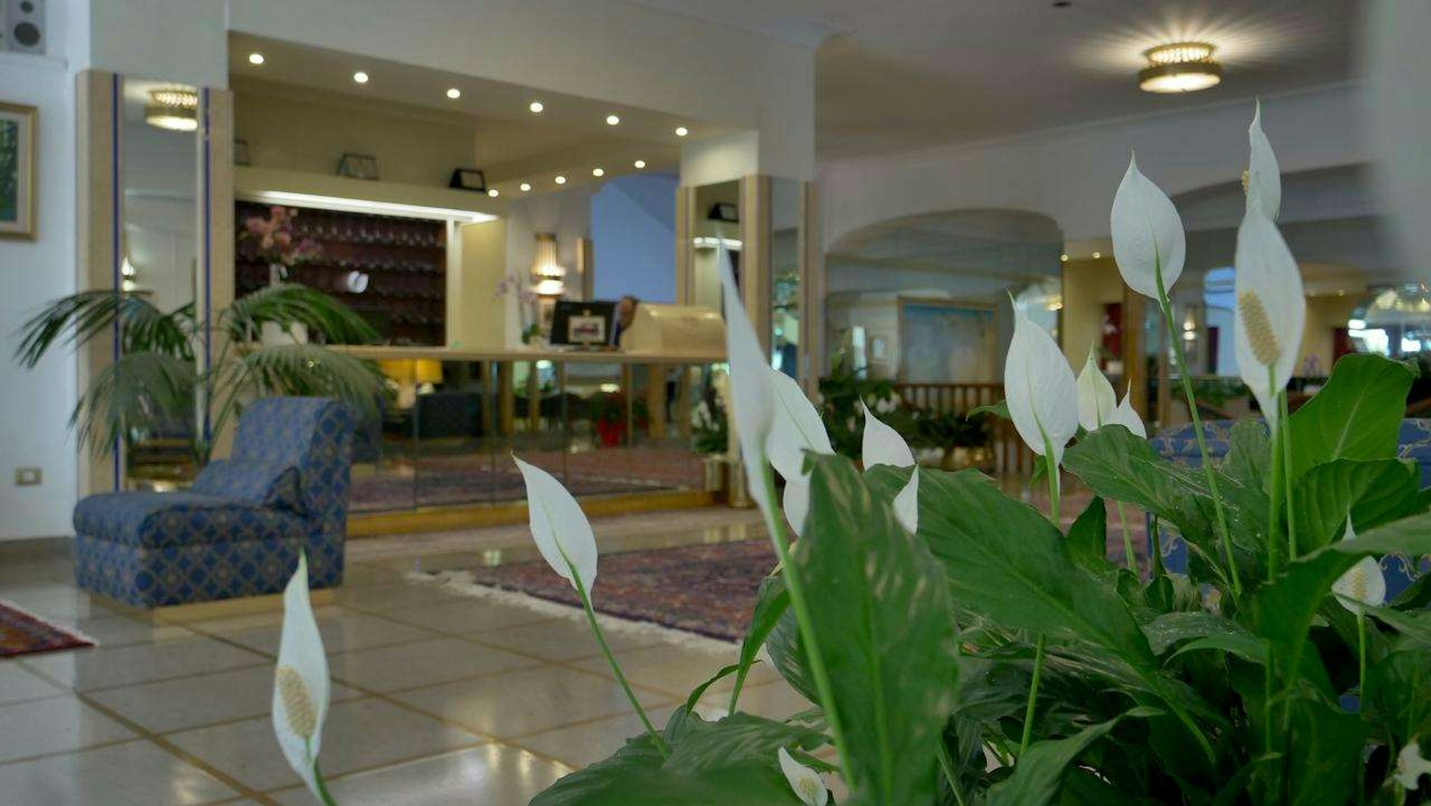 Hotel 501 4/46