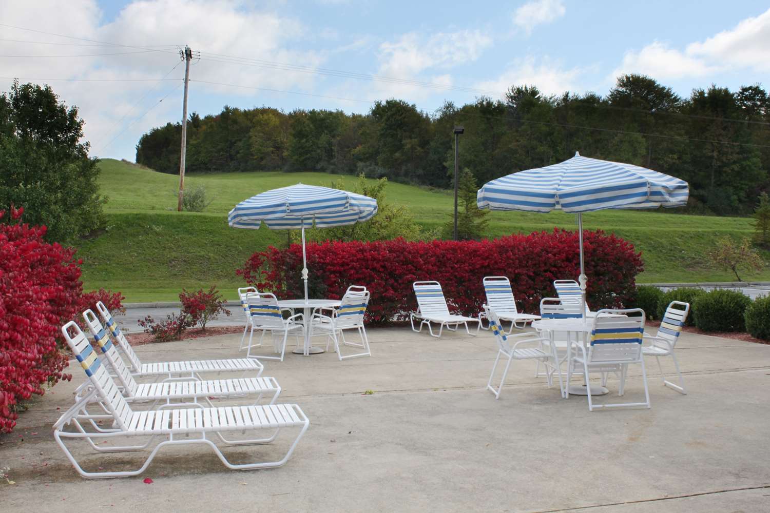 Best Western Mansfield/Bellville 31/31
