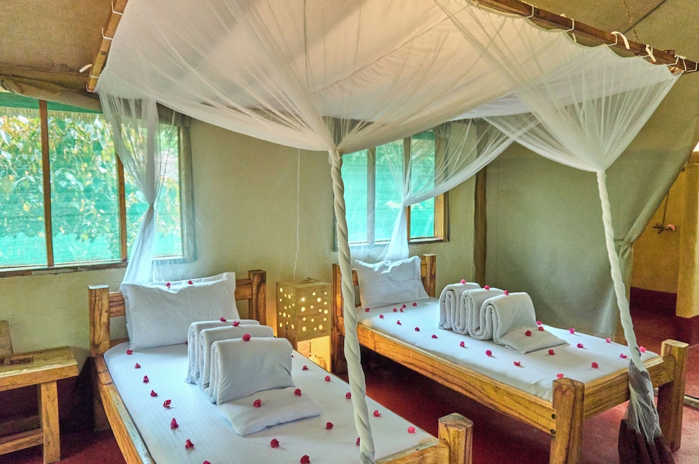 MIGUNGA TENTED CAMP 12/47
