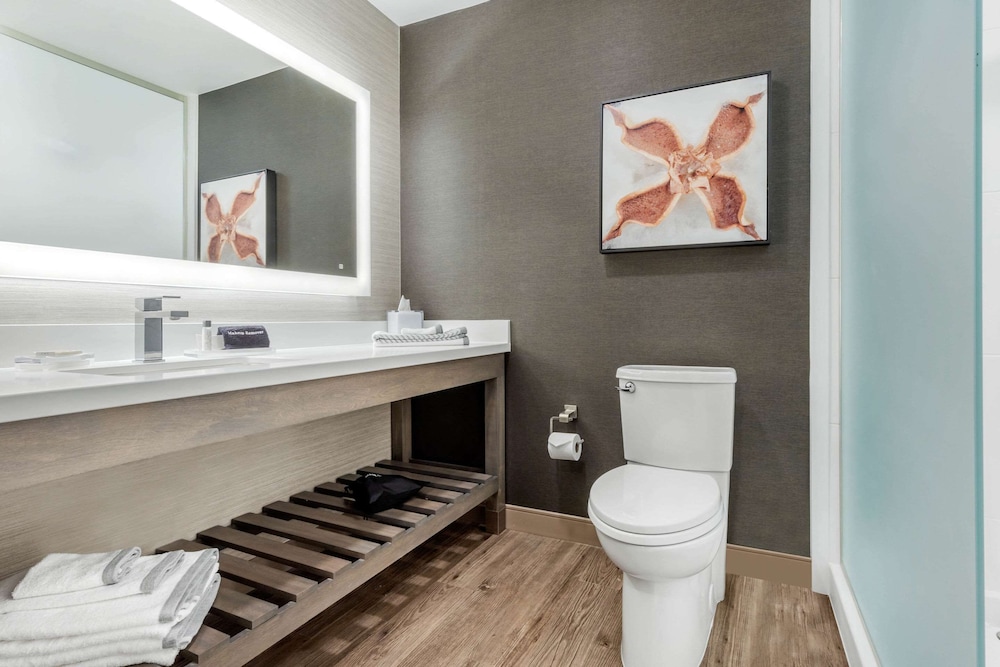 Cambria Hotel Fort Mill 24/50