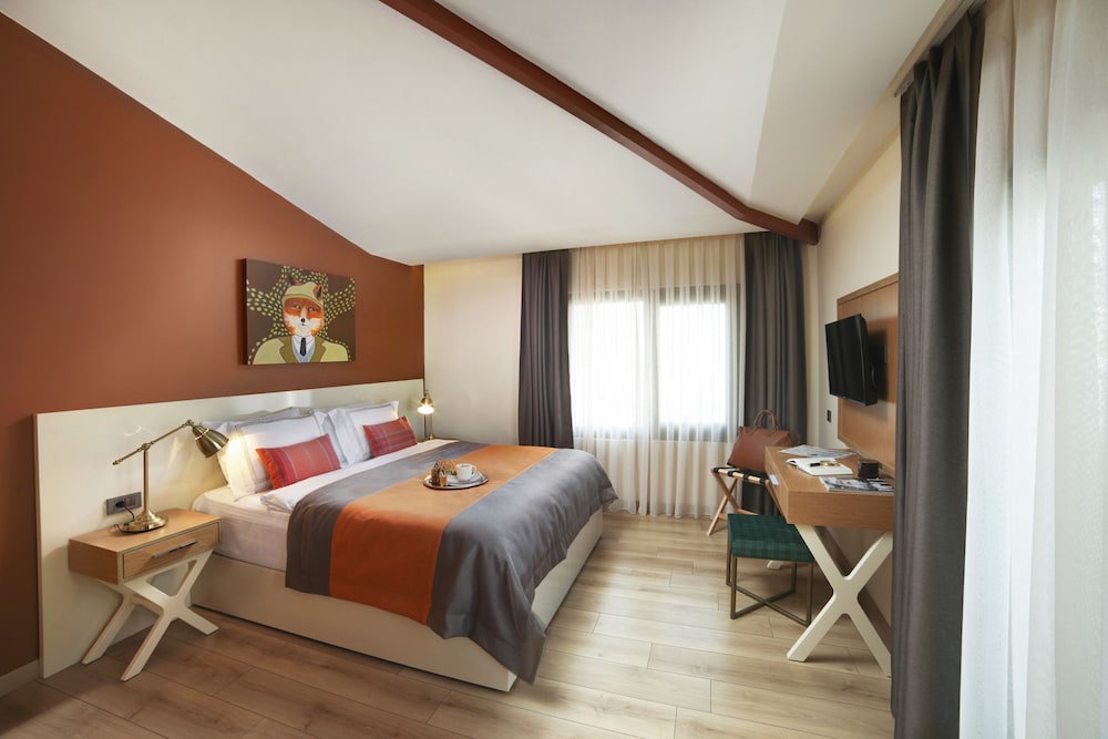 The Fox Hotel Taksim 16/69