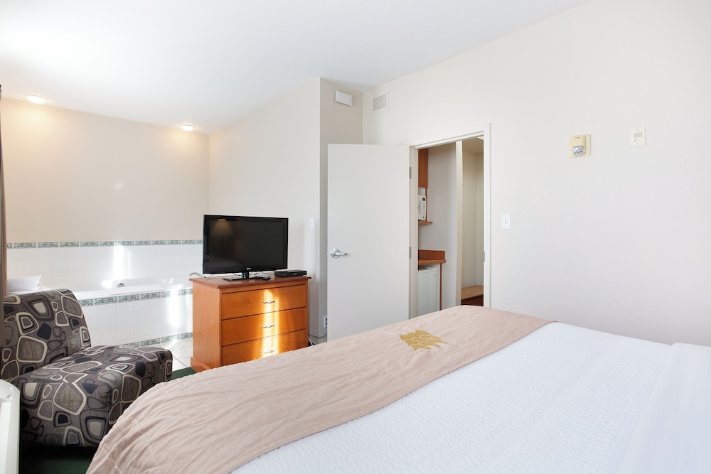 Lakeview Inn & Suites 22/60