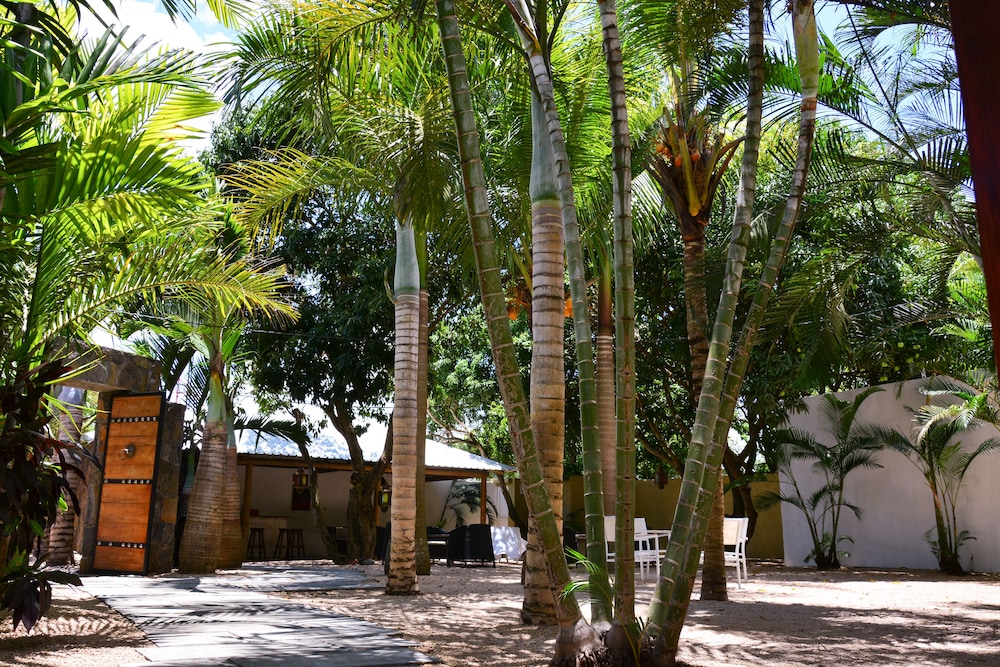 LA MARGARITA 8/46