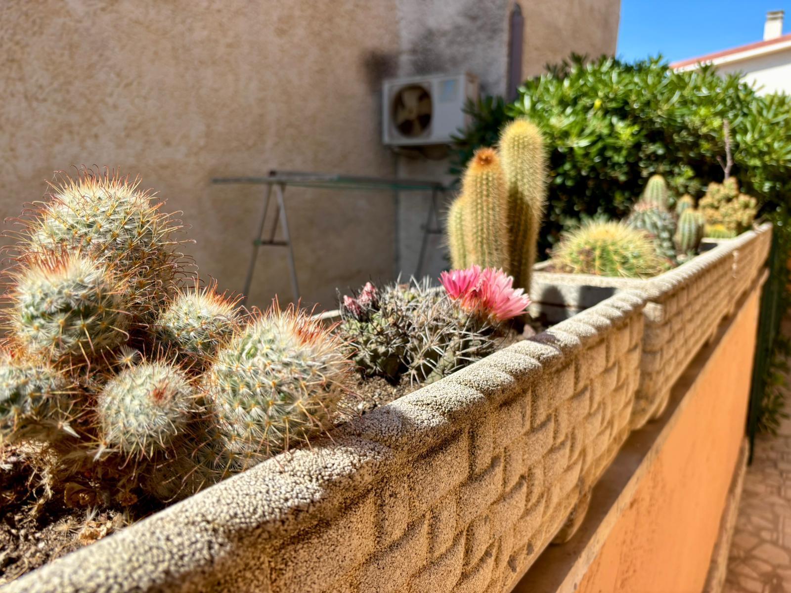 B&B Buena Vista 4/19