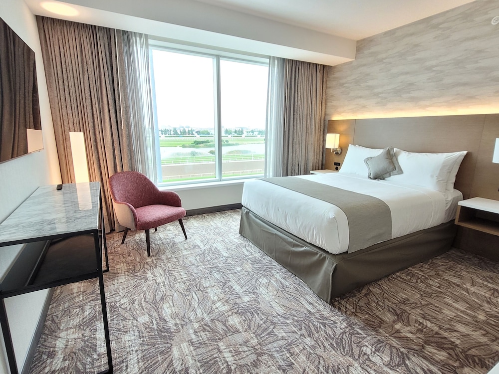 RACETRACK, KING BED