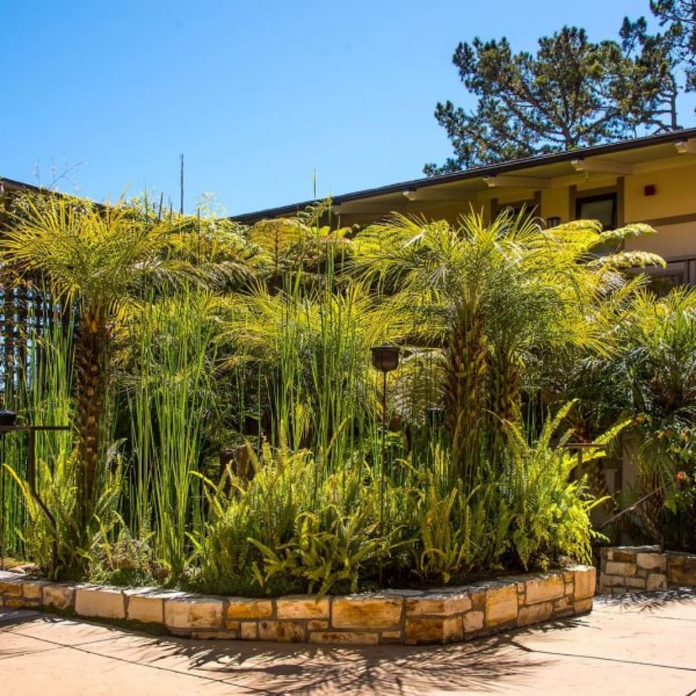 Tradewinds Carmel 46/51