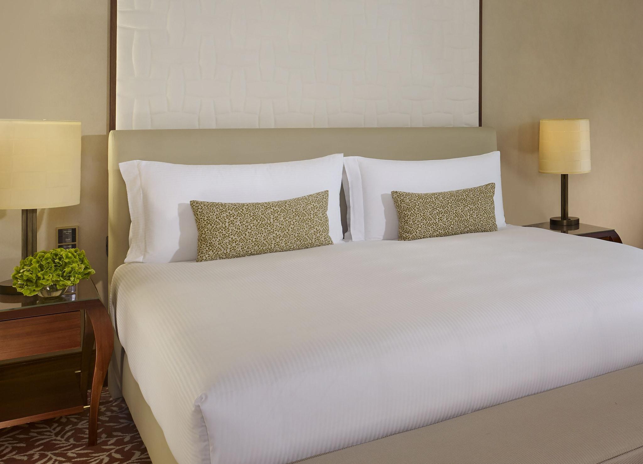 THE RITZ CARLTON VIENNA in VIENNA