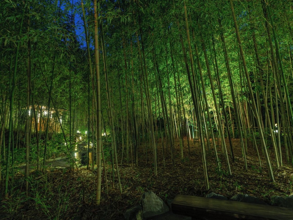 Narashino no sato Gyokusui -6 years or older 94/100