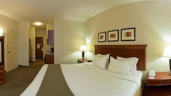 Holiday Inn Express Hotel and Suites Jackson - Flowood 20/71