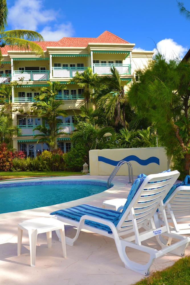 Blue Orchids Beach Hotel in WORTHING - BB