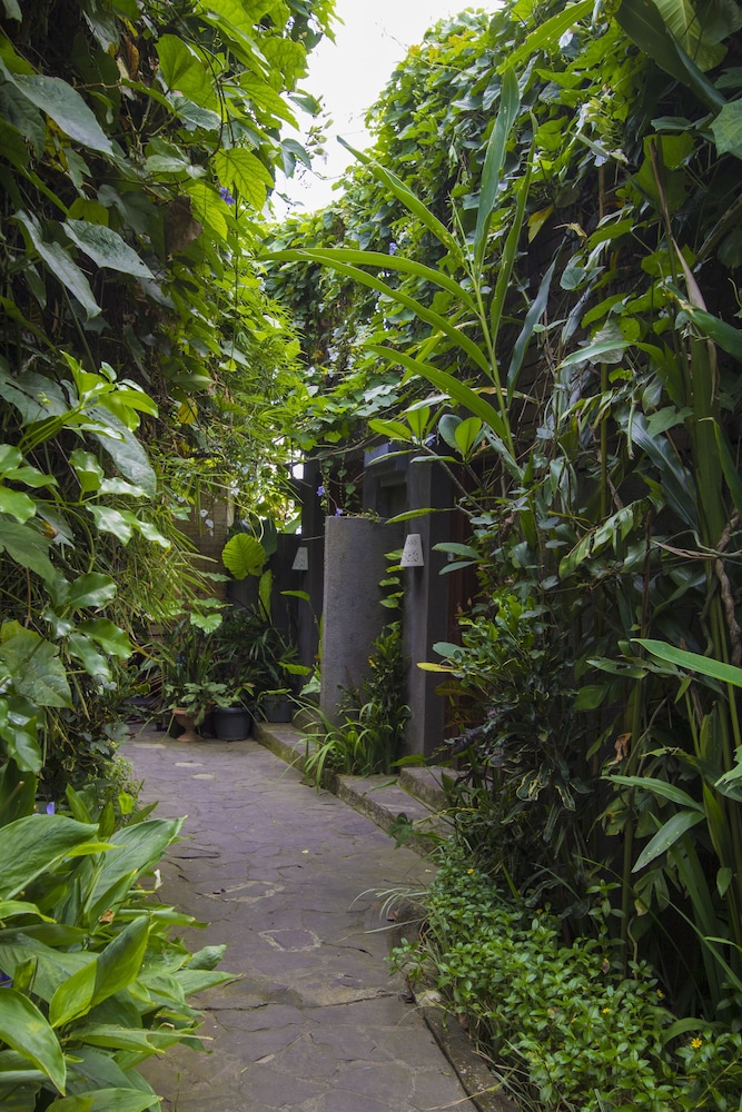Ladera Villa Ubud 49/59