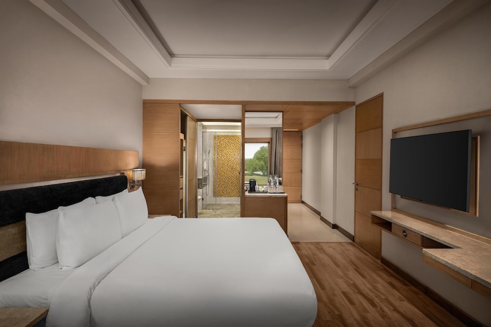 Radisson Resort & Spa Kandla 20/89