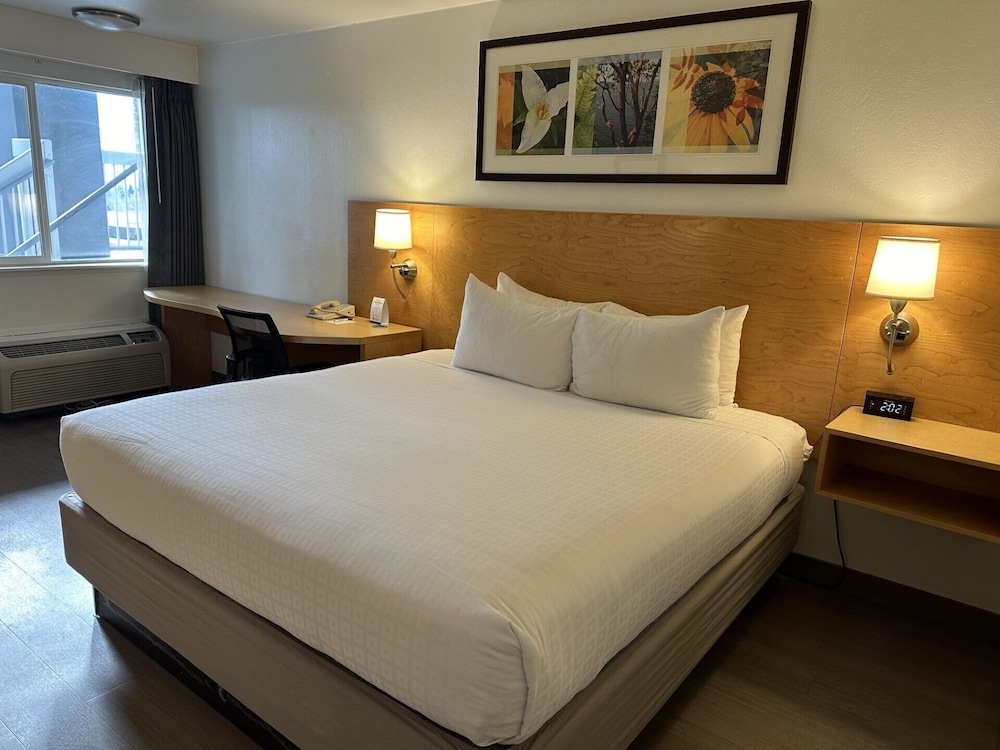 STANDARD, QUEEN BED, ACCESSIBLE
