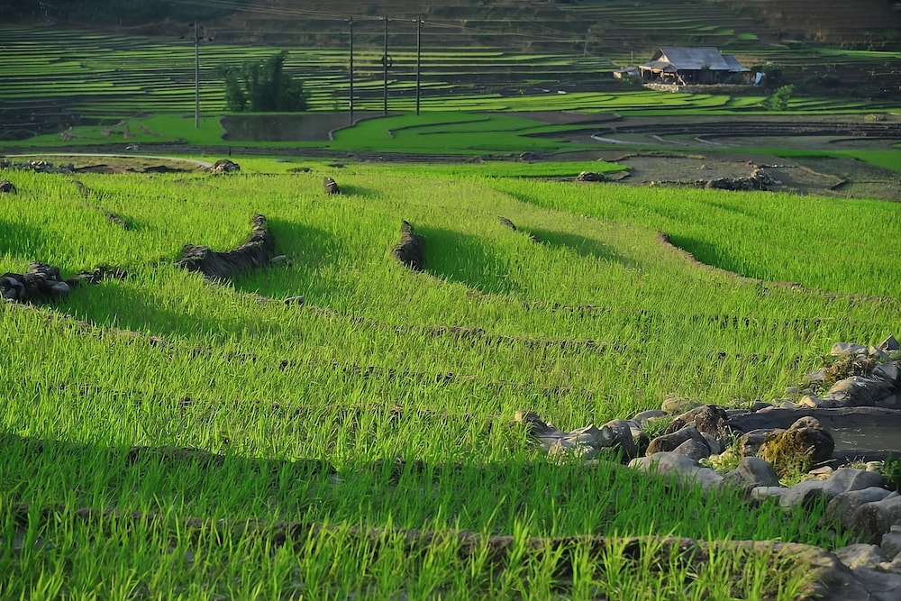 Sapa Mountain Resort, Affiliated by Melia 43/50