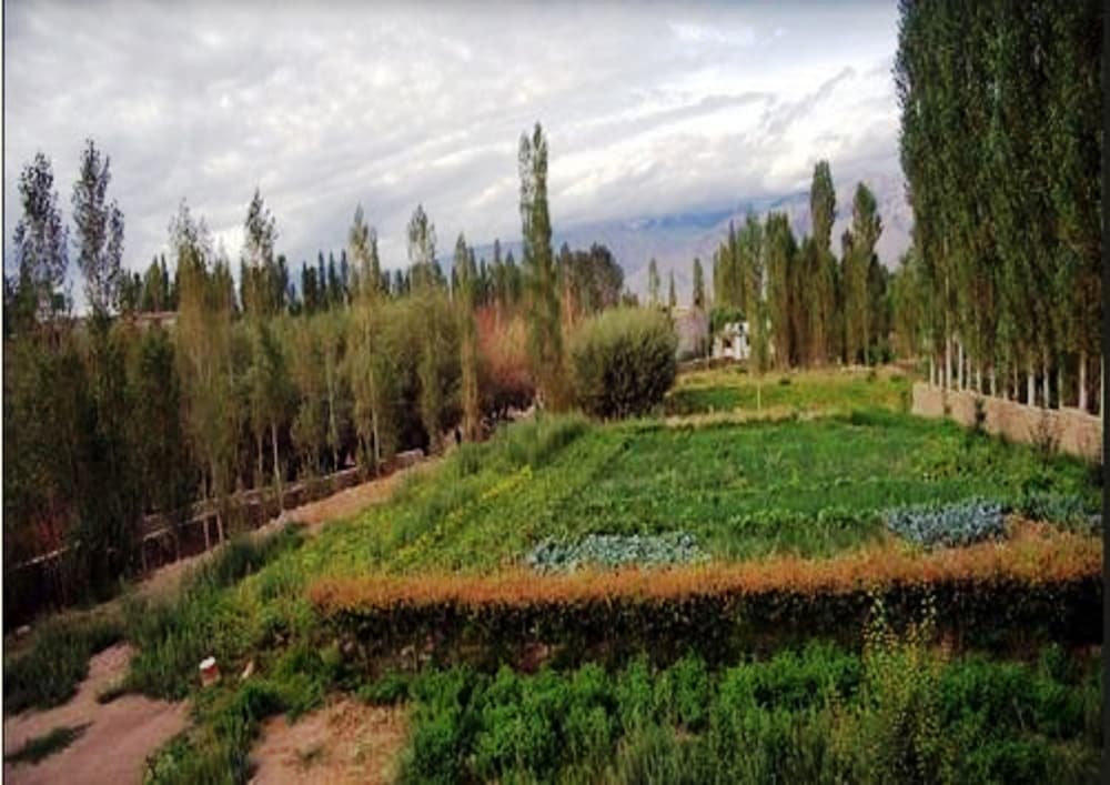 Hotel Ladakh Heaven 28/35