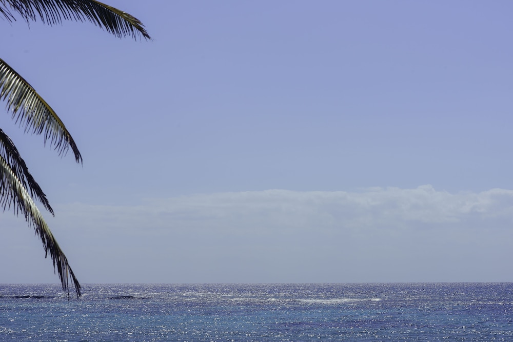 Villas De Rosa Beach Resort 53/68