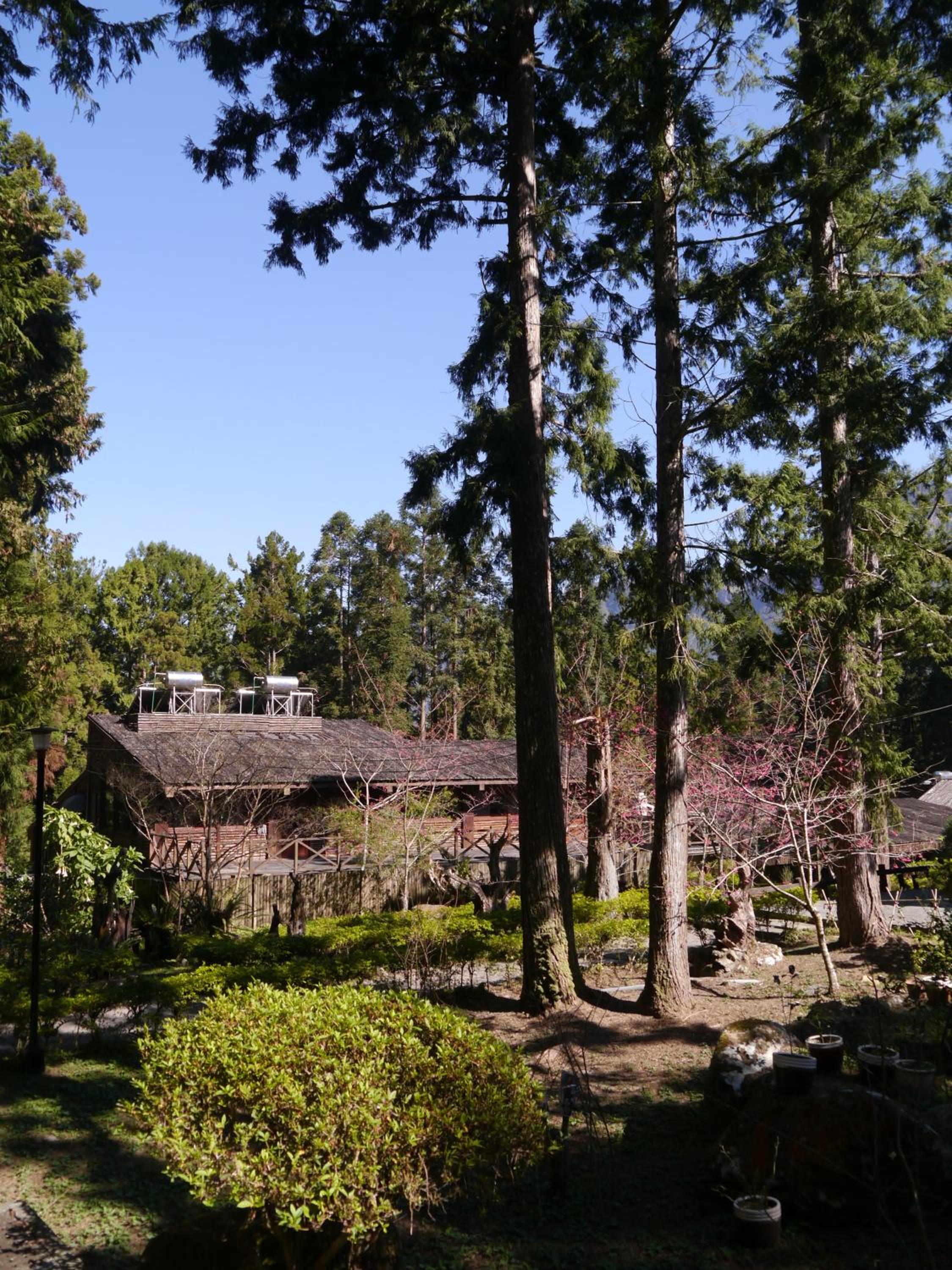 Xitou Youth Activity Center Hostel 26/36