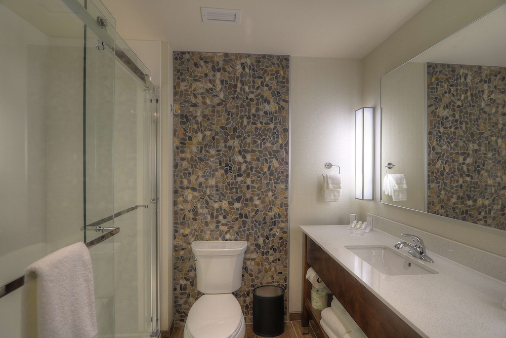 Hilton Garden Inn Pigeon Forge 14/50