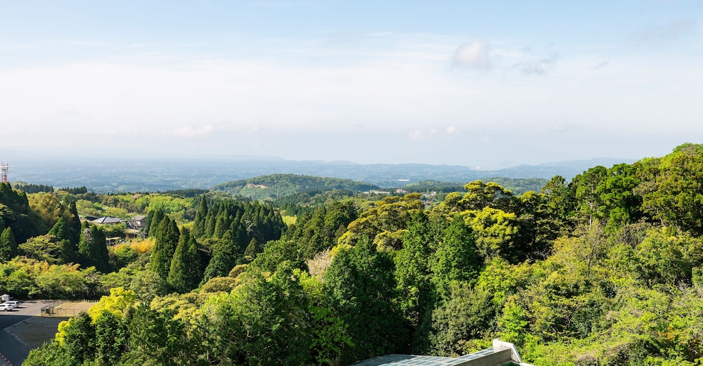 HOTEL KIRISHIMA CASTLE 62/66