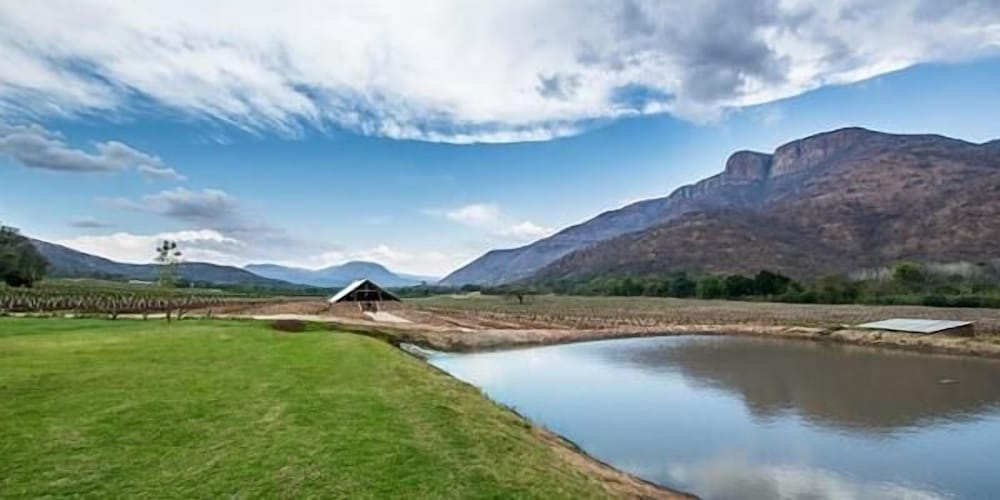 Buffelsvley Guest Farm & Wedding Venue 12/16