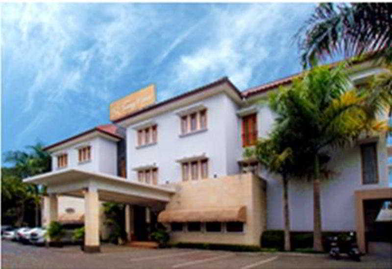 Sany Rosa Hotel 3/17