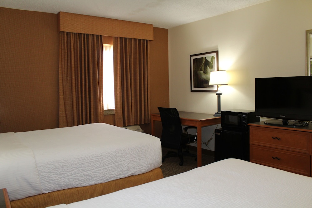 La Quinta Inn And Suites By Wyndham Tampa Brandon West 27/53