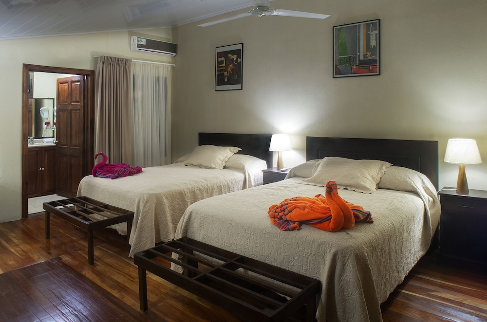 Selva Verde Lodge 36/68