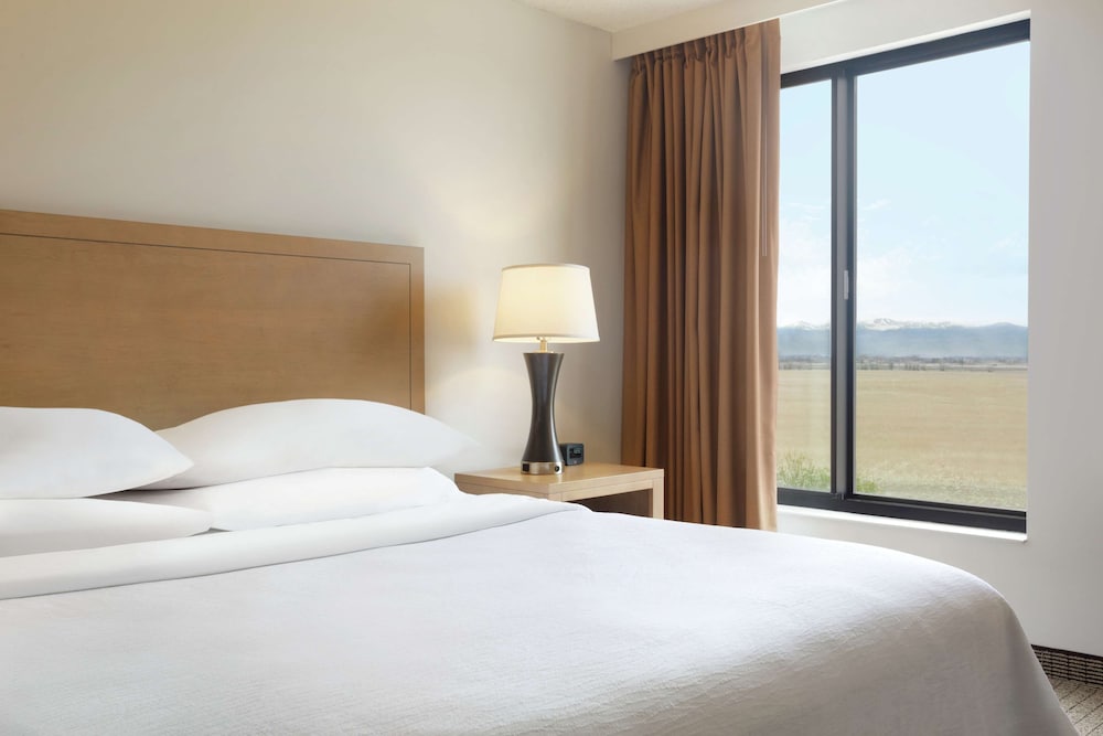 Embassy Suites By Hilton Denver International Airport 17/62