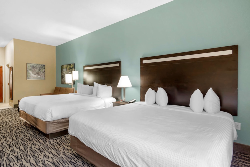 Best Western Plus McDonough Inn & Suites 17/55