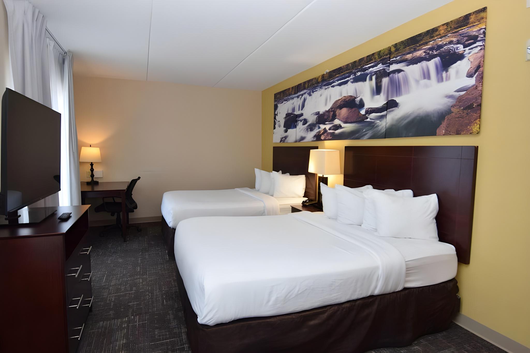 Suite, Multiple Beds, Accessible