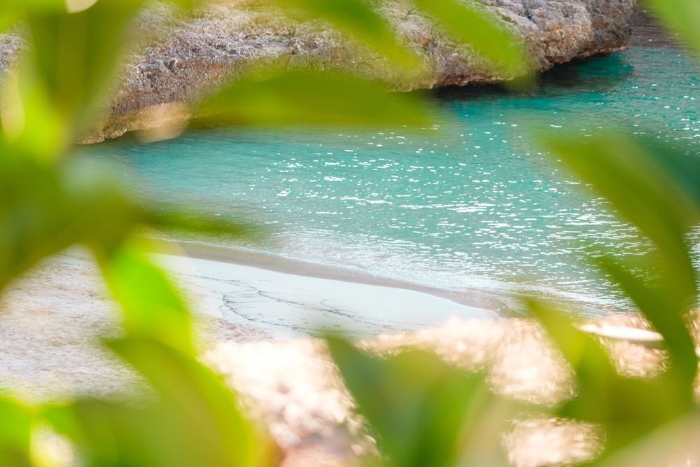 Hotel Cala d Or - Adults Only 65/69