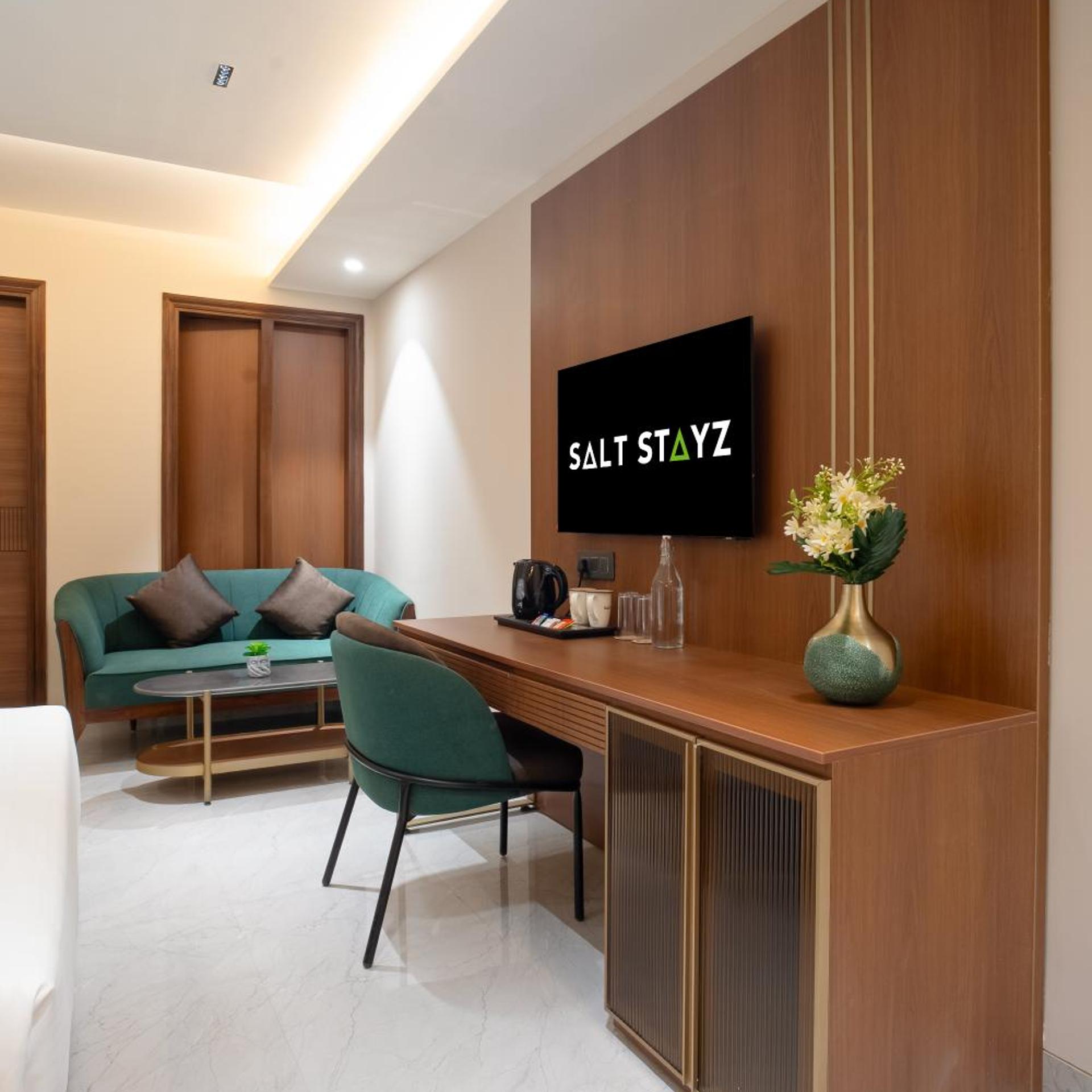 Saltstayz Premier Naraina Vihar 55/60