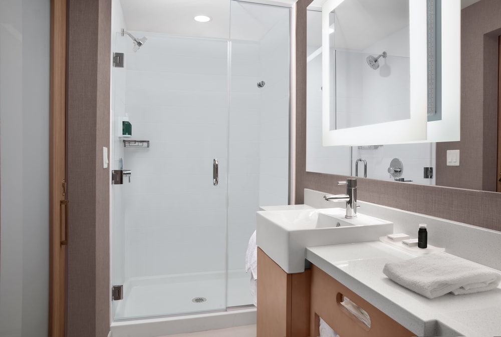 SpringHill Suites by Marriott Orlando Theme Parks/Lake Buena Vista 16/62