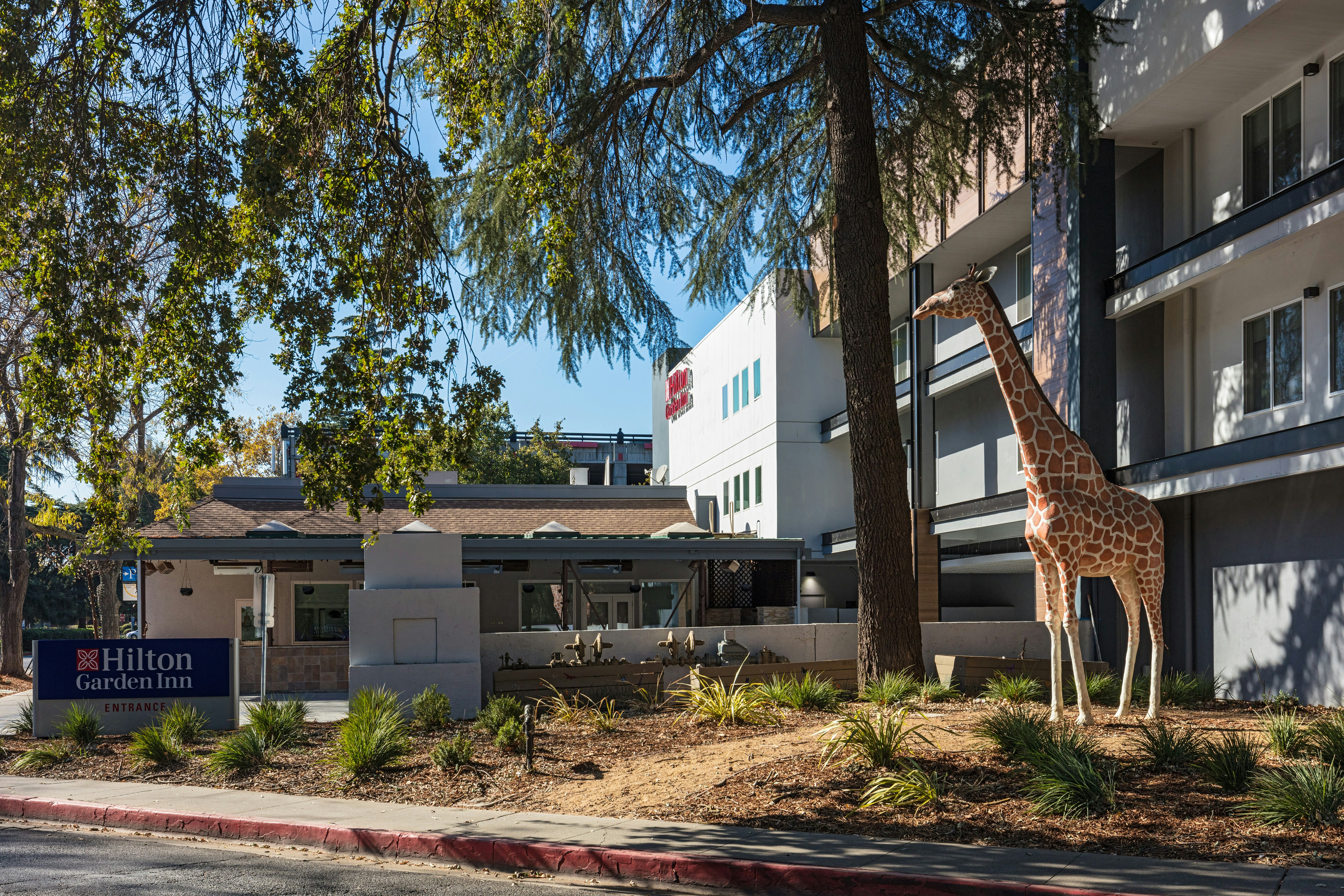 Hilton Garden Inn Davis Downtown 4/40