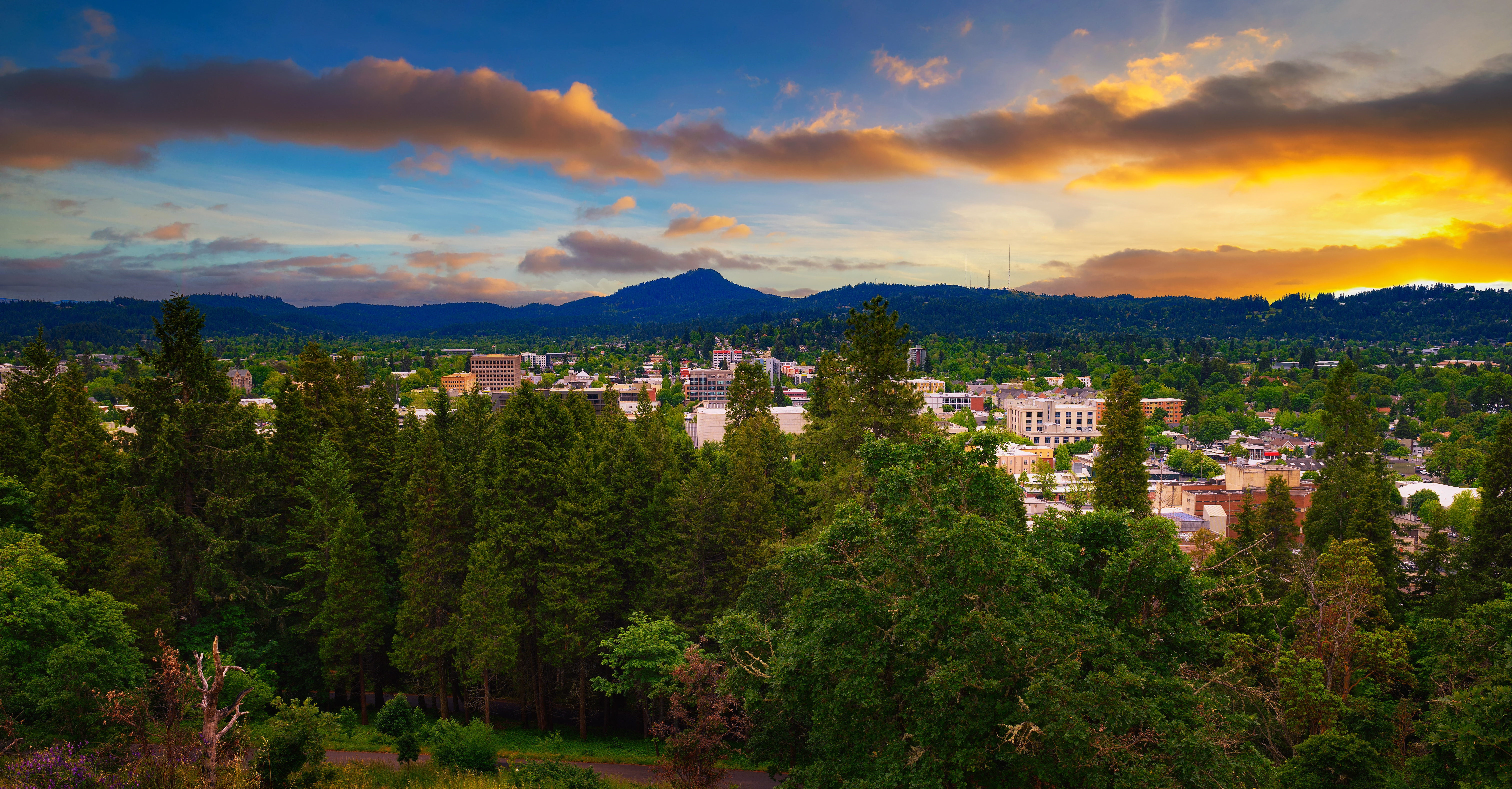 Holiday Inn Express Eugene - Springfield 34/43